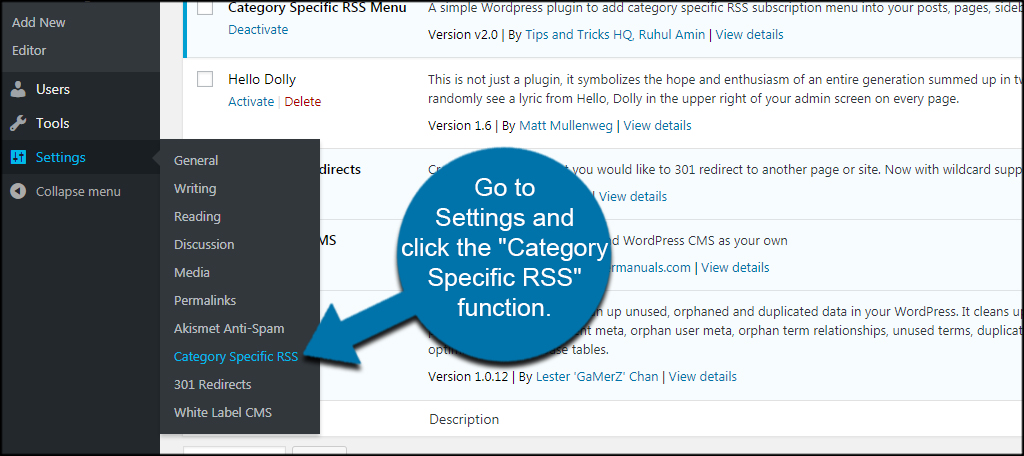 Category RSS Settings