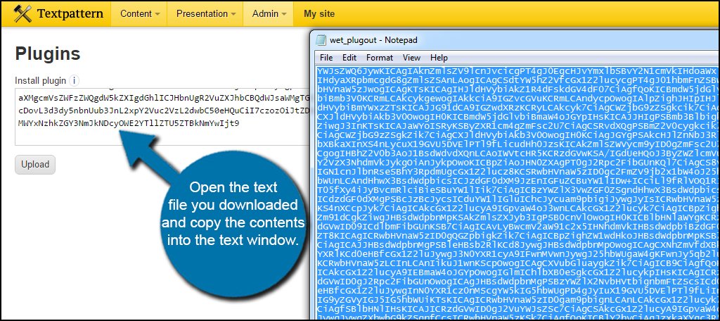 Paste Plugin Code