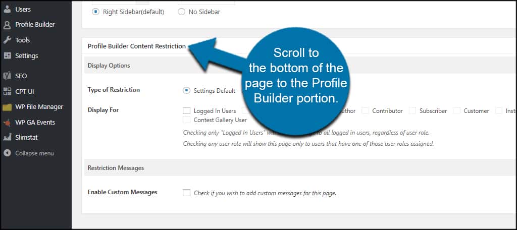 Profile Builder Portion