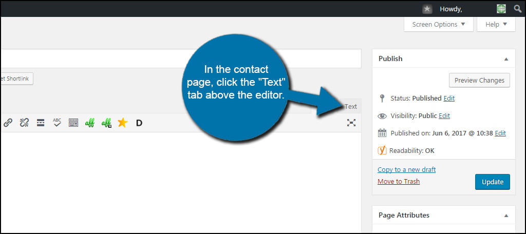 WordPress Text Tab