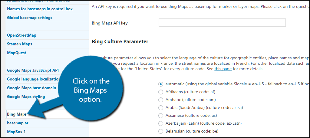 click on the Bing Maps option.