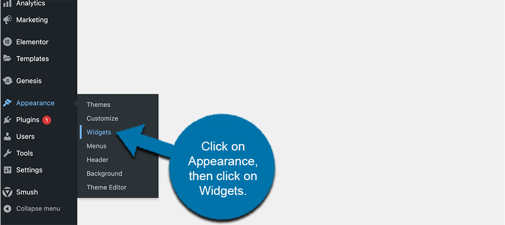 Click on appearance then widgets