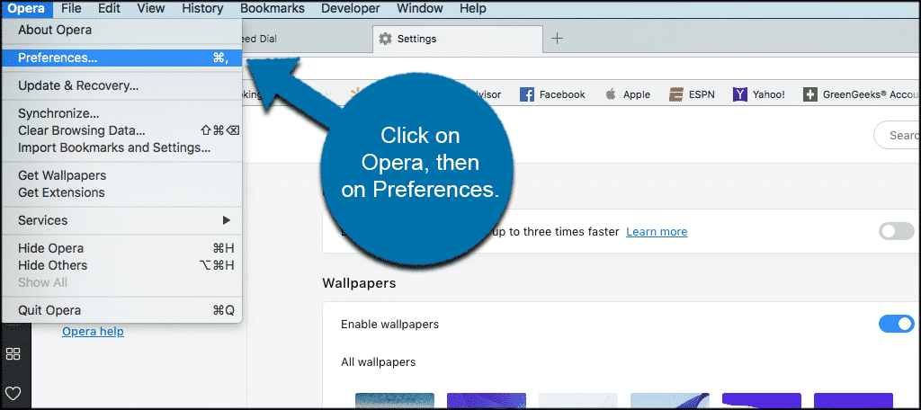 Click on opera then on preferences or settings