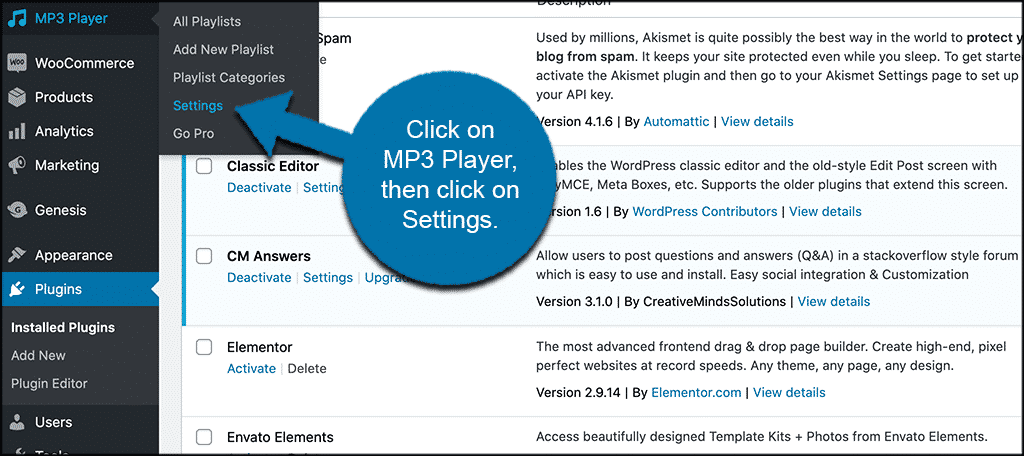 Click MP3 player then settings