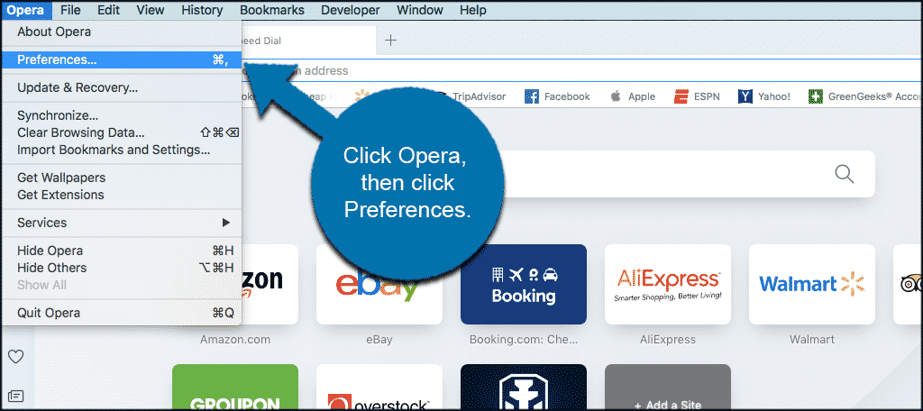 Click opera then click preferences