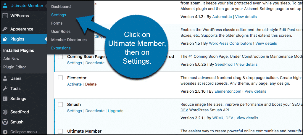 Click on ultimate member tab