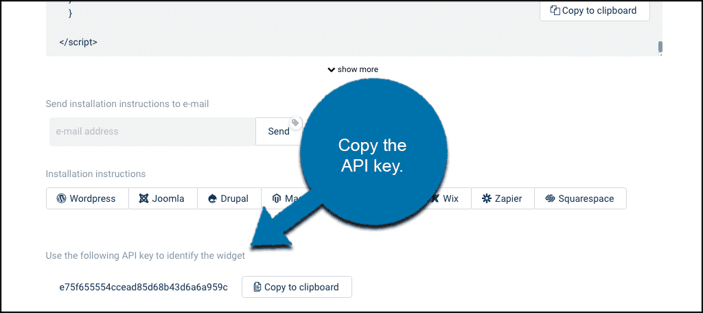 Copy website widget api key