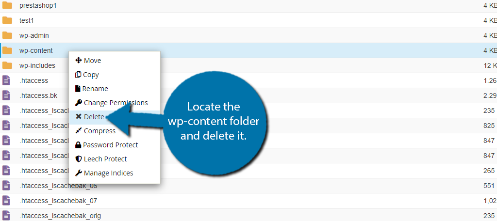 Delete wp-content