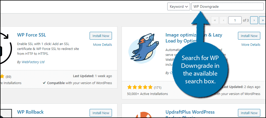 WP Downgrade