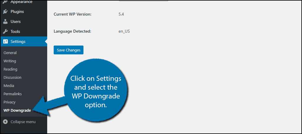 WP Downgrade