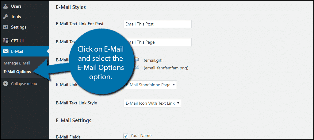 Click on E-Mail and select the E-Mail Options option.