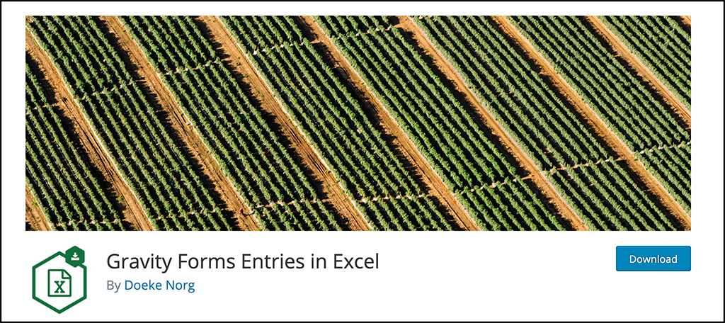 Gravity Forms Entries for Excel