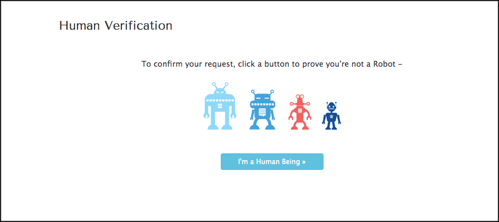 Human verification page