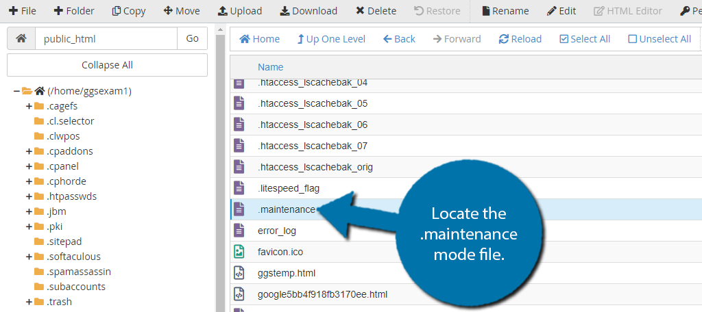 Delete Maintenance Mode File to Clear the Error