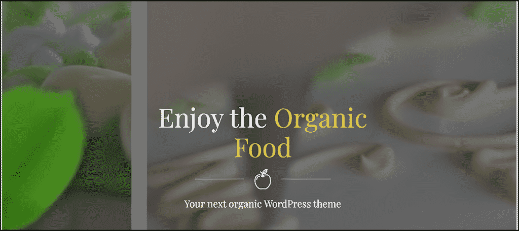 Organic Food theme for nutrition blog