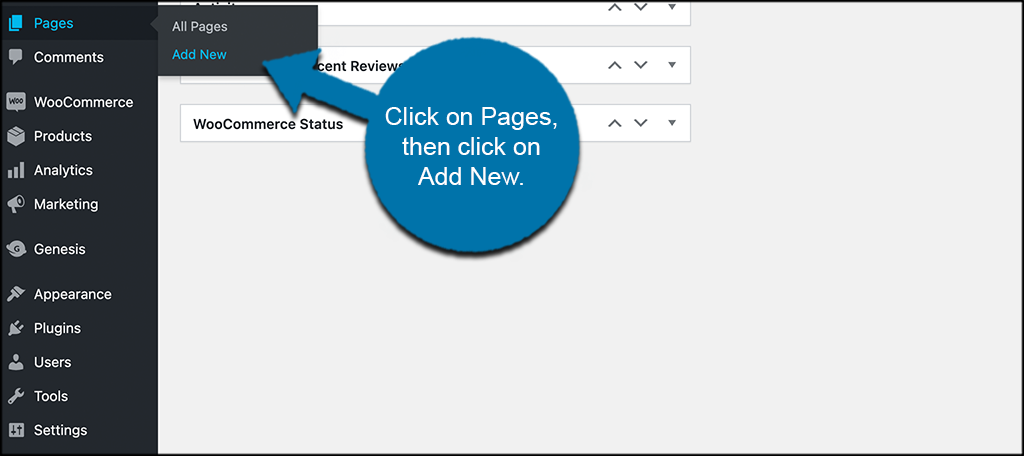 Click pages then add new