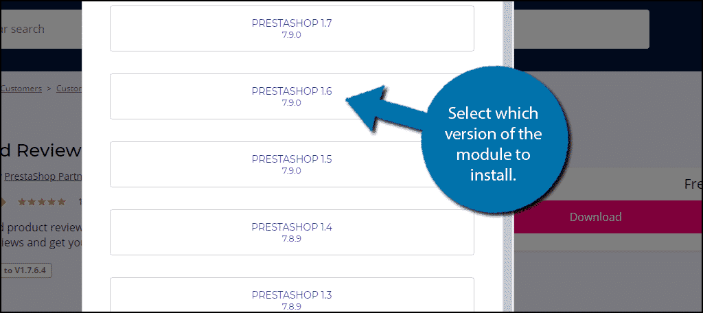 Module Version