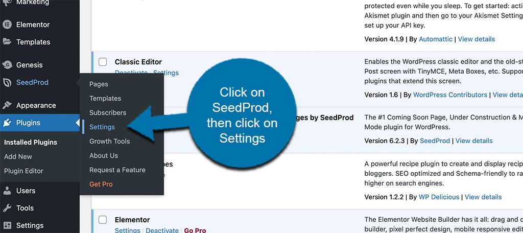 Click on SeedProd settings