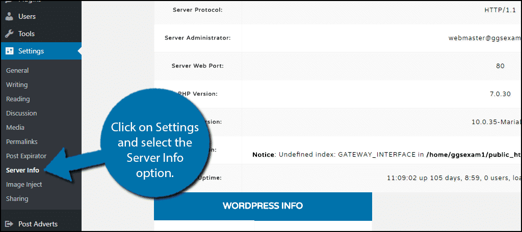 Click on Settings and select the Server Info option.