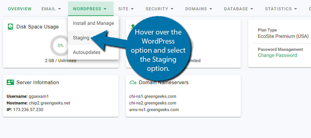 Select the staging option to begin creating a clone in WordPress