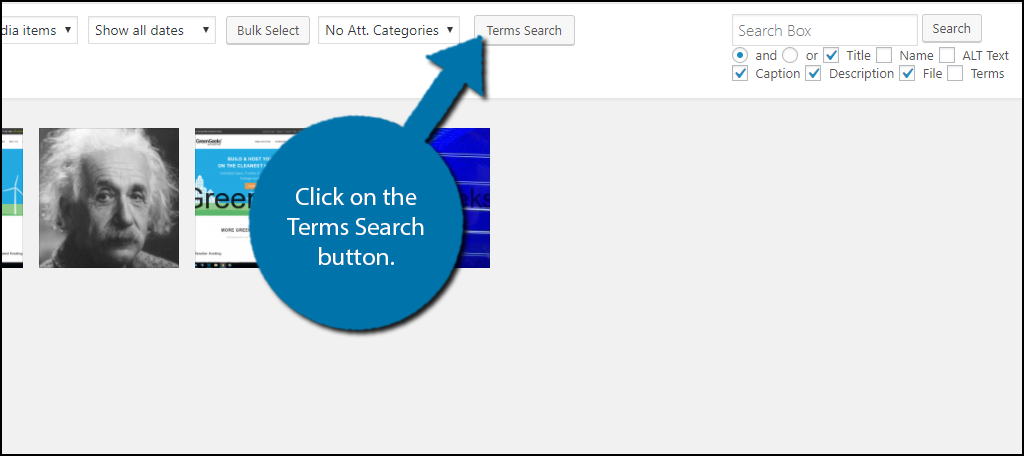 Click on the Terms Search button.