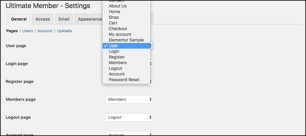 WordPress membership site pages settings