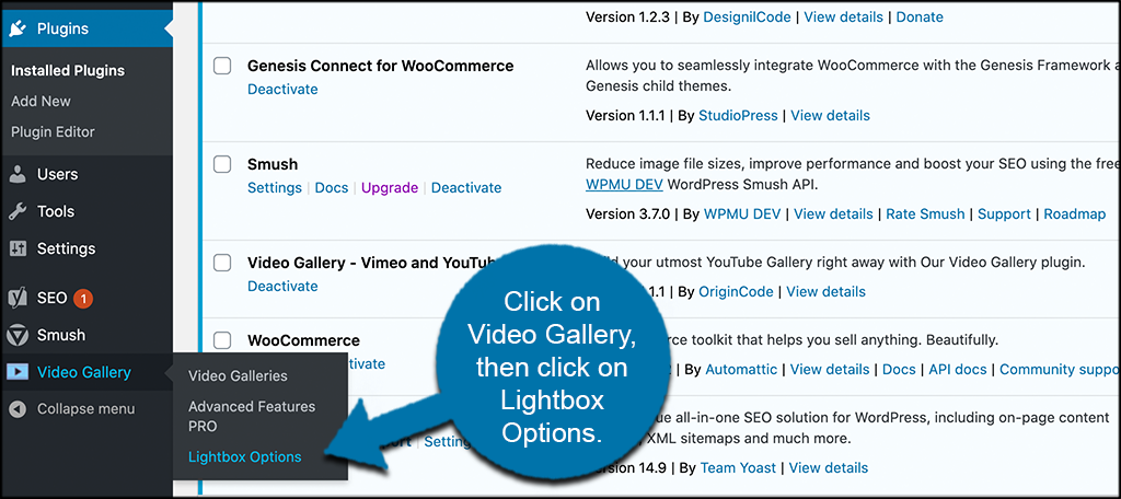 Click on video gallery then lightbox options