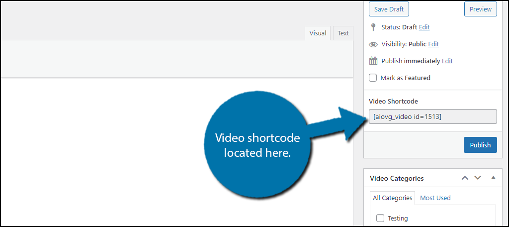 Video Shortcode