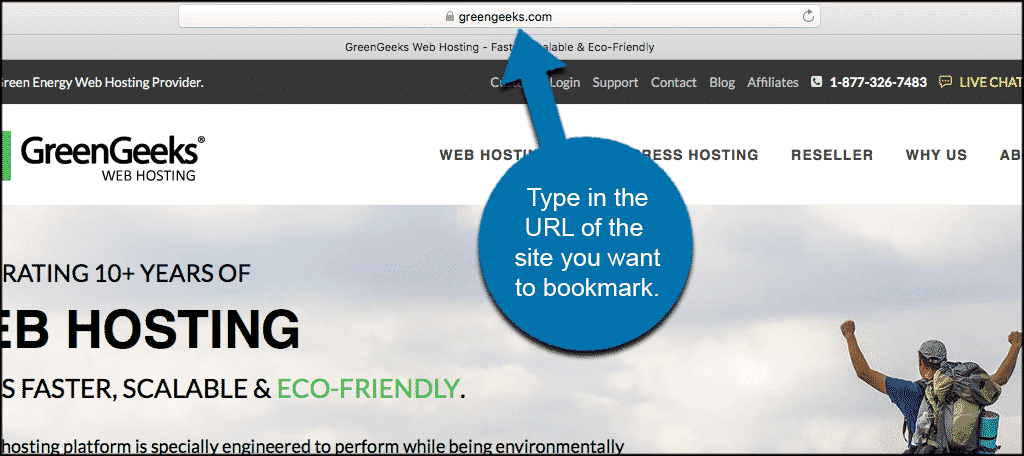 Type in the URL of the site you want to bookmark.