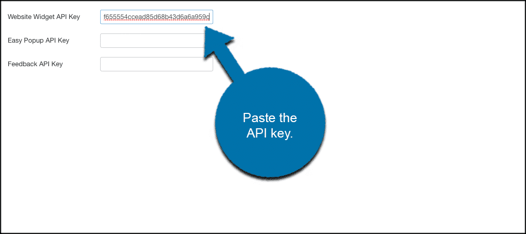 Paste the api key