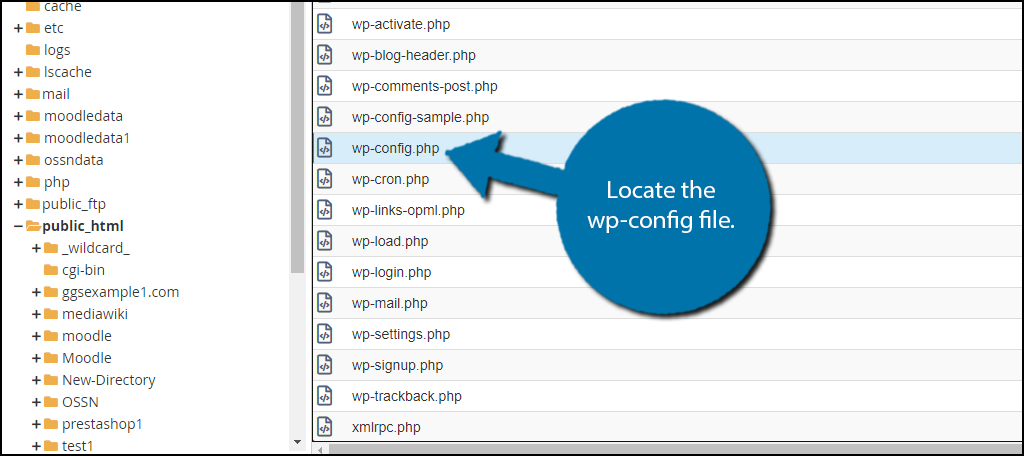 wp-config